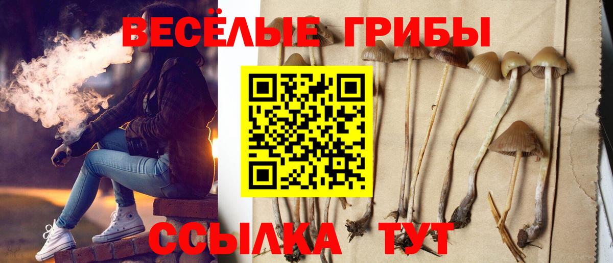 Псилоцибиновые грибы Magic Shrooms  Вход с VPN  Когалым 